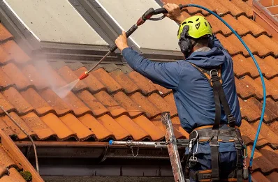Démoussage et hydrofuge de toiture à Pis